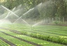 New England landscaping-irrigation-11.jpg; ?>