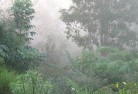 New England landscaping-irrigation-4.jpg; ?>